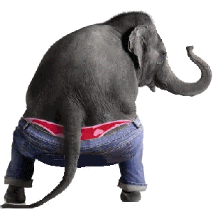 funny-elephant-sexy-dance