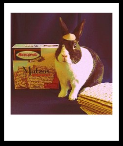 jewish easter bunny (1)